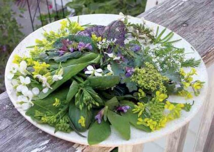 In Basket: September 2012 Image